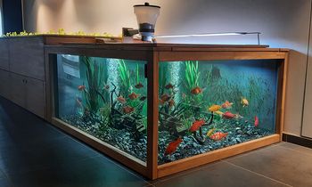 L’Oréal – Campus Charles Zviak